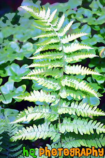 Green Fern painting