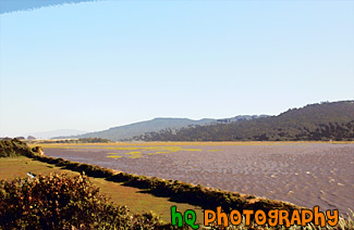 Tomales Bay, California painting