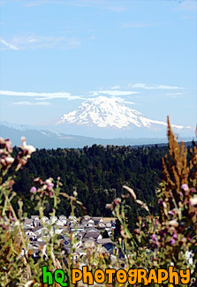 Mt. Rainier from Bonney Lake painting