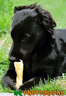 Puppy Eating Bone painting