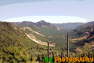 Gifford Pinchot National Forest painting