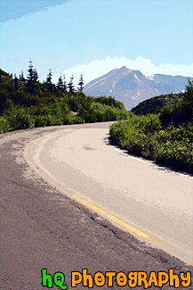 Road to Mount St. Helens painting