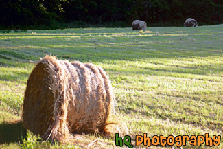 Bundles of Hay in a Field painting