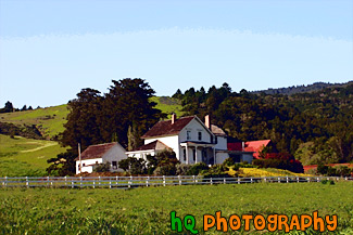 House in Marin County, California painting