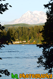 Mt. Rainier Through Trees & Lake painting