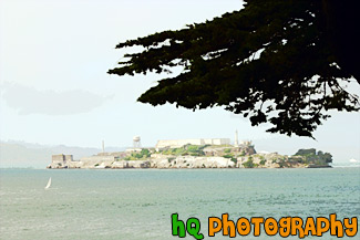 Alcatraz with Tree Branch painting