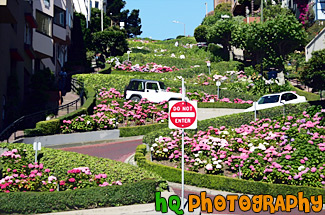 Lombard Street painting