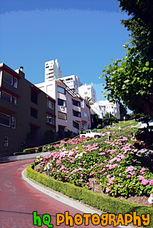 Crooked Lombard Street painting