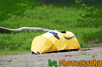 Yellow Tent painting