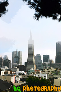 San Francisco & Transamerica Pyramid painting