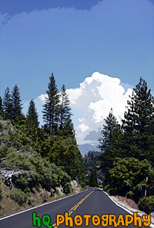 Road in Yosemite National Park painting