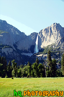 Yosemite Falls & Grass Field painting