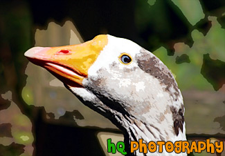 Close Up of Goose Face painting