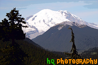 Mount Rainier at White River Entrance painting