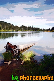 Log & Reflection Lake painting