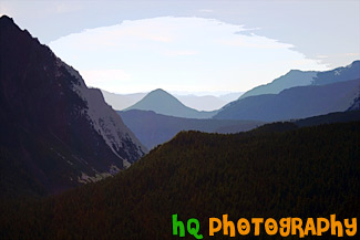 Hills of Mount Rainier National Park painting