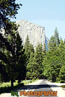 El Capitan & Forest Road painting