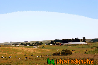 Cows, Hay, & Farm painting