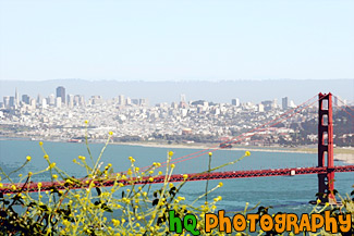 Golden Gate Bridge & Yellow Flowers painting