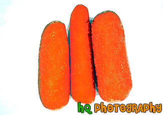 Carrots painting