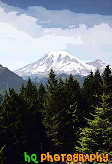 Mount Rainier Behind Evergreen Trees painting