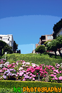 Lombard Street Close Up painting