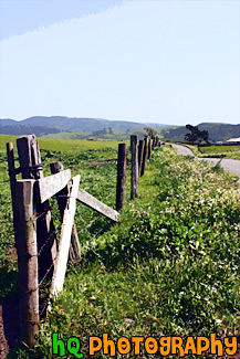 Country Fence & Road painting