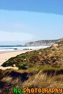 Kehoe Beach, Grass & Ocean painting