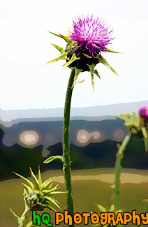 Purple Winged Thistle Flower painting