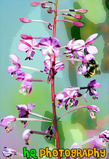 Bee on Pink Flower painting