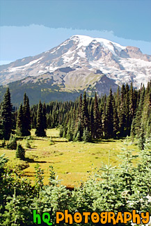 Mount Rainier & Open Field painting