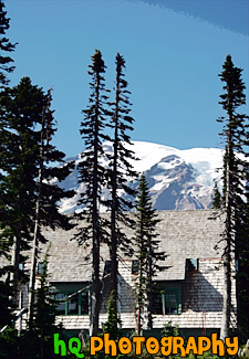 Mt. Rainier Behind Paradise Inn painting