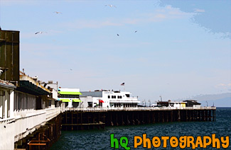 Santa Cruz Pier & Seagulls painting