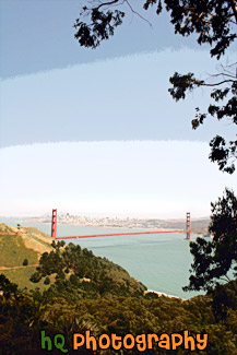 Golden Gate Bridge framed by Tree painting