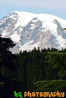 Close Up Mount Rainier & Trees painting