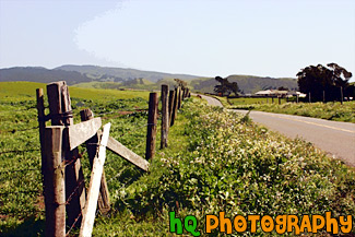 Marin County Country Road & Fence painting