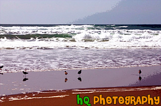 Waves & Seagulls by Pacific Ocean painting