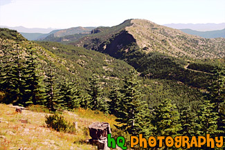 Mt. Baker & Gifford Pinchot National Forest painting