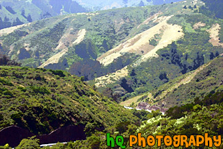 Close up of Golden Green Hills painting