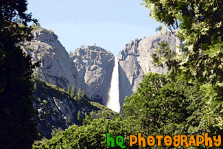 Yosemite Falls Through Trees painting