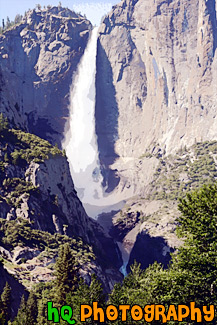 Yosemite Falls & Trees painting