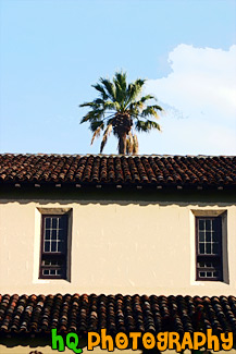 Palm Tree & Santa Clara Mission painting