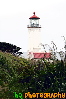 North Head Lighthouse on Washington Coast painting