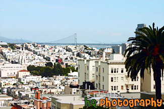 San Francisco Buildings & Bay Bridge painting