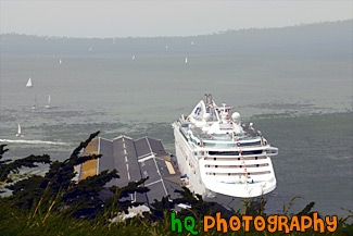 Cruise Ship in San Francisco Bay painting