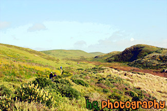 People Hiking on Green Trail painting