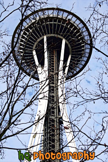Space Needle & Tree Branches painting