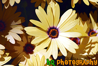 Yellow Flower & Orange Center painting