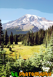 large version