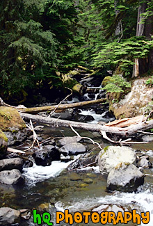 Scenic Creek in Forest painting